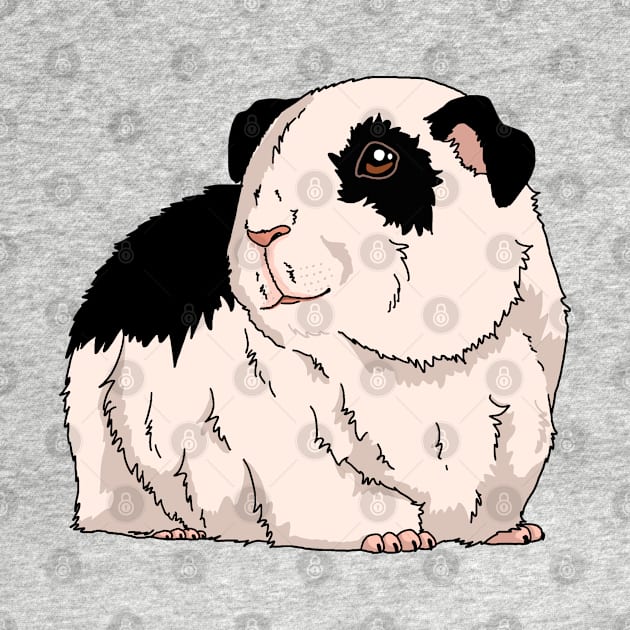 Black and white guinea pig by The Christmas Lady